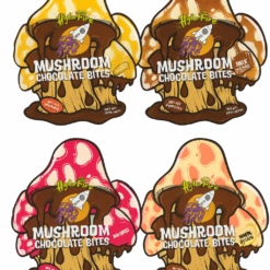 Magic Mushroom Chocolate Bites 4000 MG