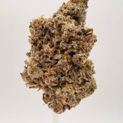 Alternative view of GOLDEN BOY FARMS - Blueberry Cherry LSO