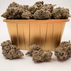 GOLDEN BOY FARMS - Cherry Licious LSO
