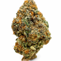 GRANDDADDY PURPLE