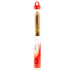 KUSH KRAFT Big Sticky Pre-Roll- 3.5G