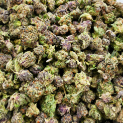 Pink Papaya LSO - Smalls