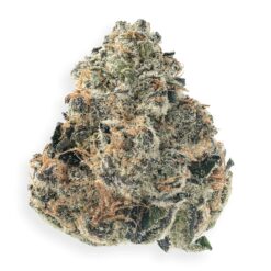 VIOLET FOG 1 oz