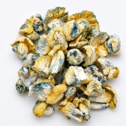 ICE BERG Dried Mushrooms