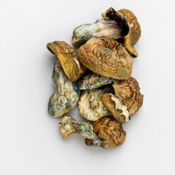 Mashak Dried Mushrooms