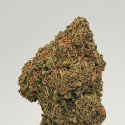 PURPLE HAZE