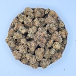 DOPAMINE - Mediums