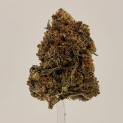 JET FUEL