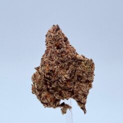 LEMON CHERRY GELATO