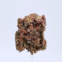 DOUGHBOY PINK
