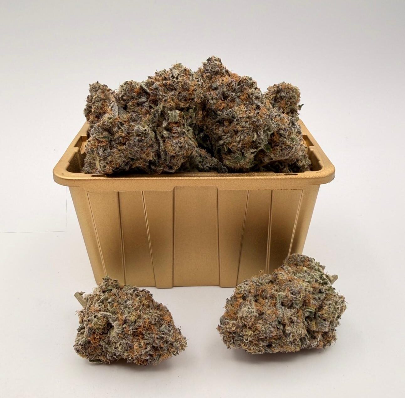 GOLDEN BOY FARMS - Cote Blue LSO 1 GOLDEN BOY FARMS - Cote Blue LSO