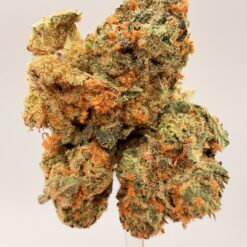 JAGER