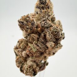 PURPLE PINEAPPLE