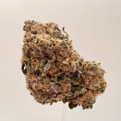 TROPICANNA COOKIES