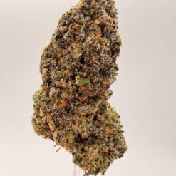 VANILLA GELATO