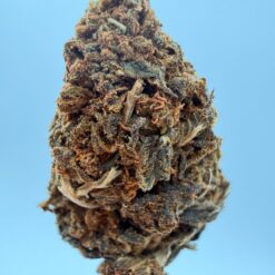 CANDY SHOP 1 oz