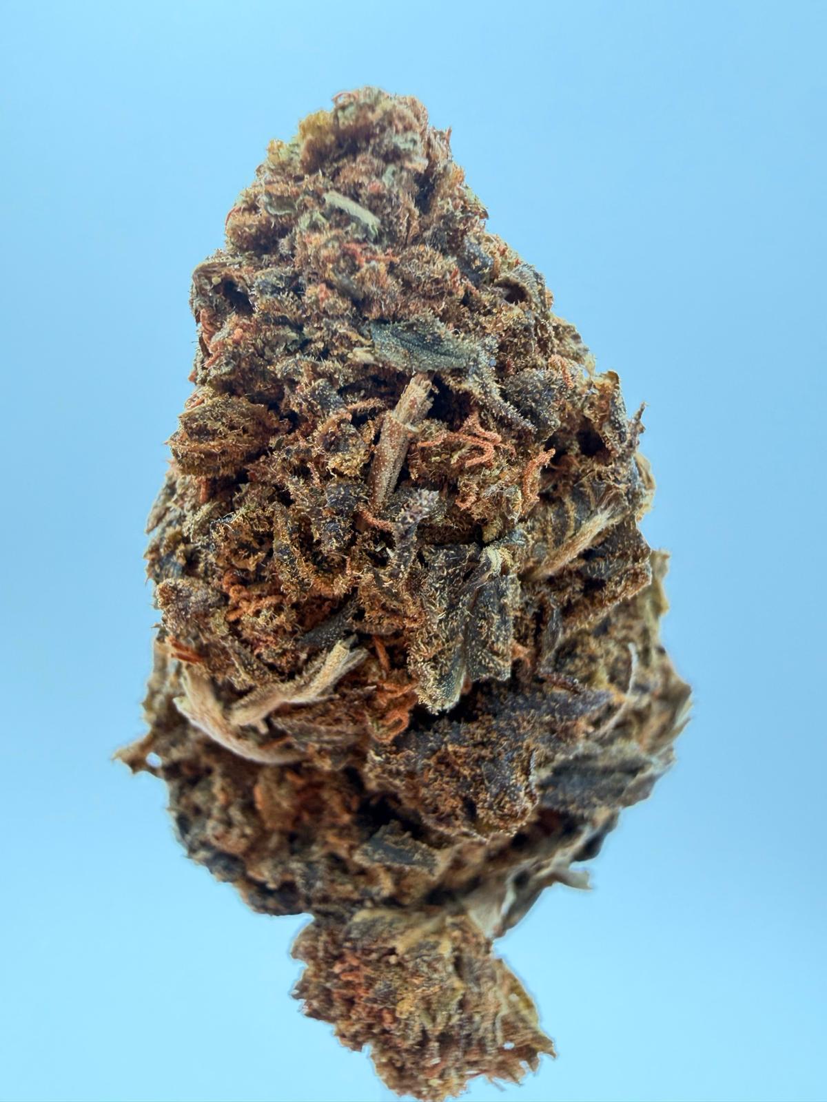 CANDY SHOP 1 oz 1 CANDY SHOP 1 oz