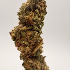 APPLE FRITTER 1 oz