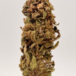 DR. GRINSPOON 1 oz
