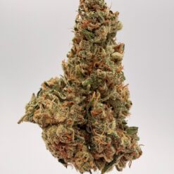 GORILLA GLUE 1 oz