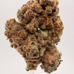 ICE CREAM CAKE 1 oz