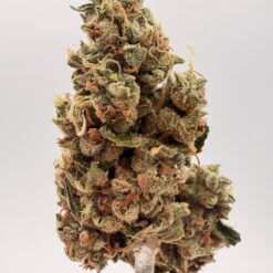 RED POP 1 oz